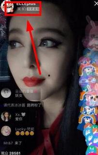 明星直播在哪看,精彩瞬間，盡在掌握——揭秘各大平臺(tái)觀看攻略