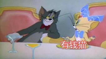 貓和老鼠s2爆料視頻,經(jīng)典角色新篇章，笑料百出引期待