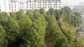 禿頭少女在線吃瓜,揭秘娛樂(lè)圈幕后故事