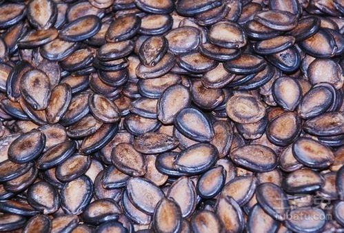 蛇信子吃瓜群,揭秘網絡社交圈的趣味與爭議