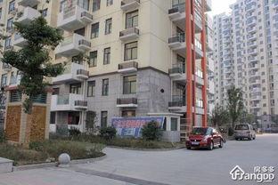 萊茵河畔的頭條,聚焦最新動態(tài)，解碼歐洲經(jīng)濟脈搏