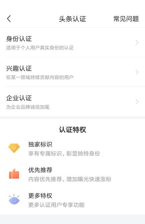 頭條為什么出現認證界面,技術背后的認證奧秘