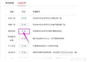 頭條賬號登錄地址在哪里,頭條賬號登錄地址，輕松掌握賬號安全