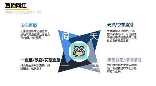 網(wǎng)紅推廣簡(jiǎn)介文案,打造爆款內(nèi)容的秘訣