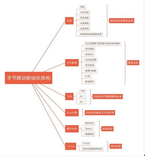 今日頭條業務線調整,打造多元化內容生態新格局