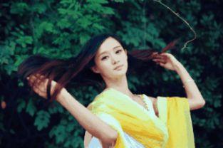 星夢奇緣明星圖片王國,明星圖片王國的璀璨瞬間