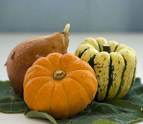 常吃方瓜的好處