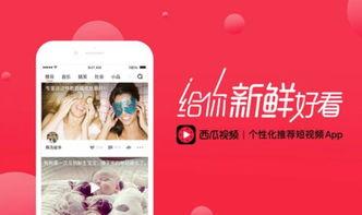 西瓜視頻咋才能上頭條,掌握這些技巧，讓你的視頻脫穎而出！