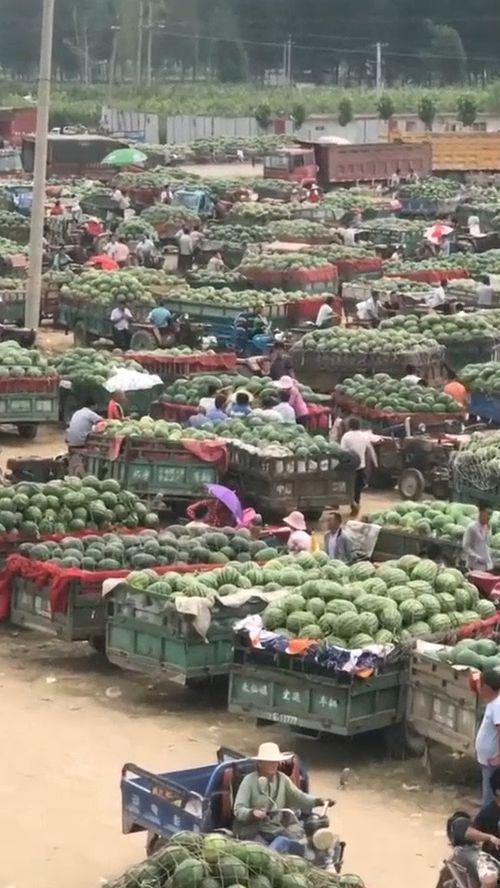 成都吃瓜基地地址,揭秘這座美食天堂的獨(dú)特風(fēng)味聚集地