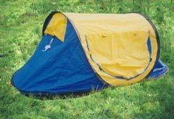 冰淇淋帳篷明星照片,一場視覺盛宴