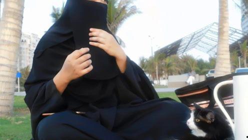 娛樂吃瓜君虐貓,道德底線何在？