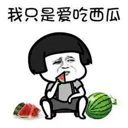 娛樂瓜都是在哪里吃的啊